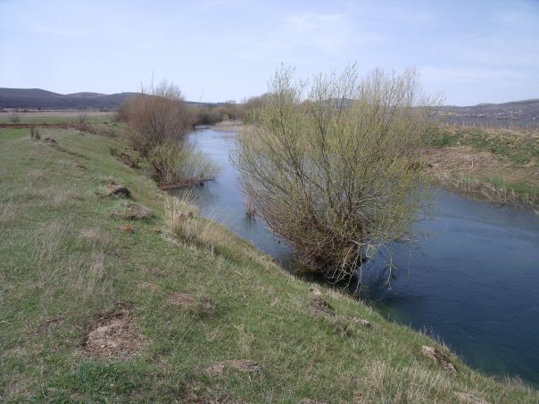 Чикола код Кричака.