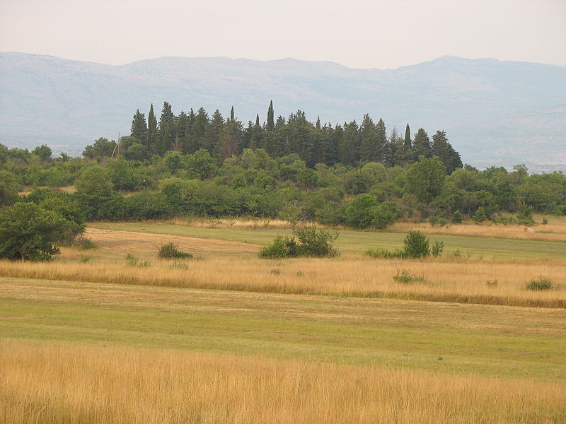 Вегетација на Ђурђевој главици.