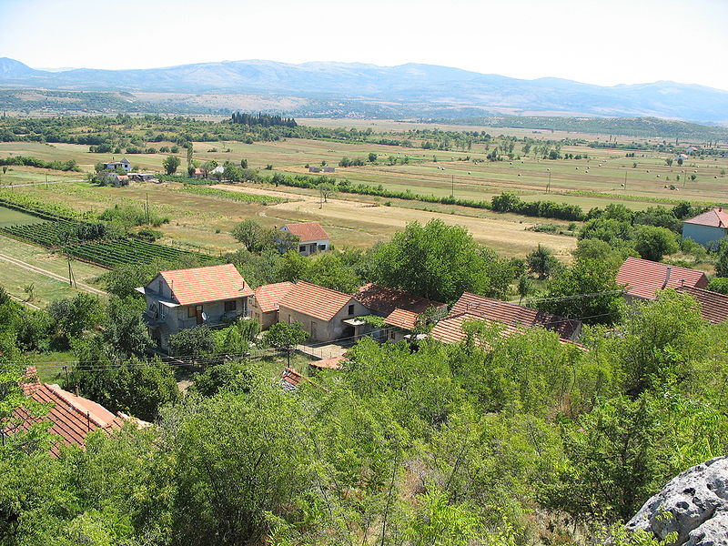 Петрово поље код Доњих Кричака.