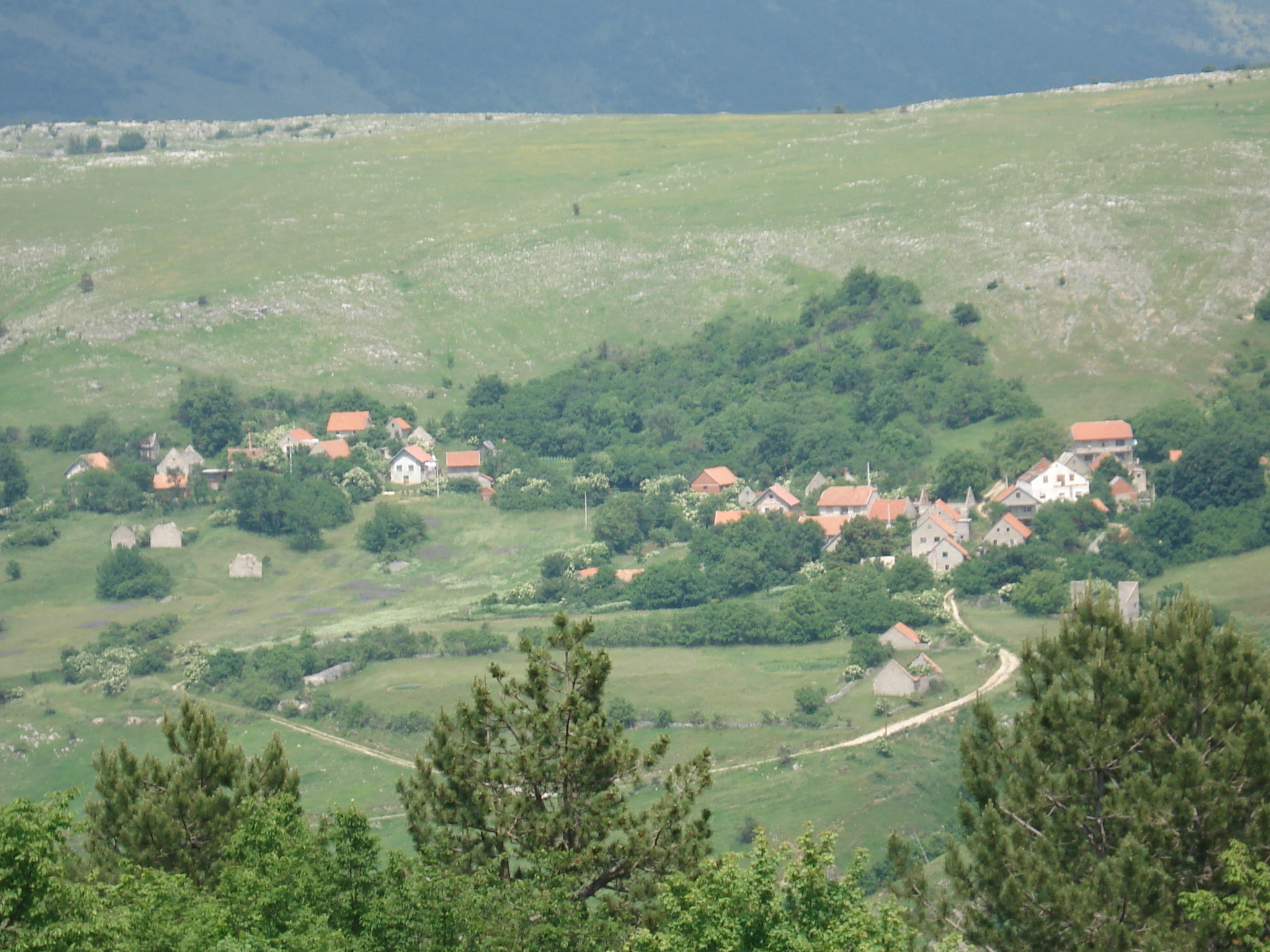 Село Кесићи код Грахова.