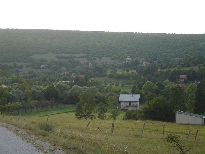 Поглед на село Мрђе код Дрвара.